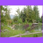 Pond - Mountains in background.jpg